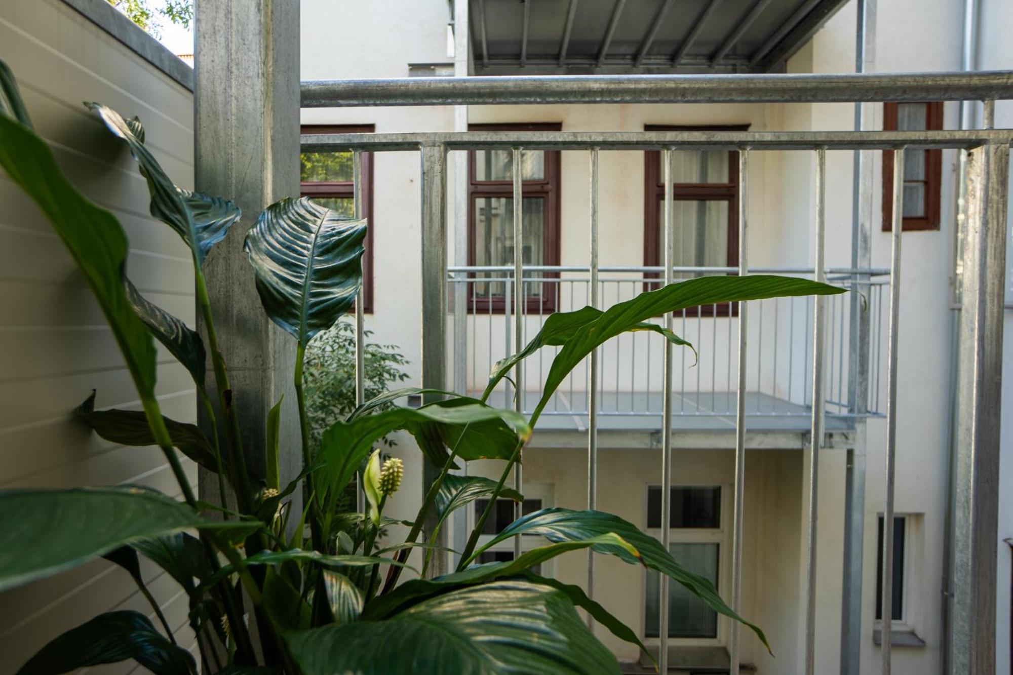 Apartment Contemporary With A Balcony. Vienna