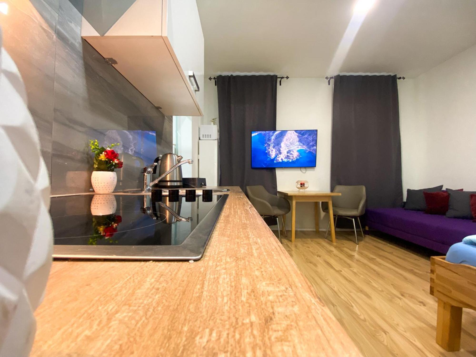 Senator Flat Paulusgasse 6 * Wien