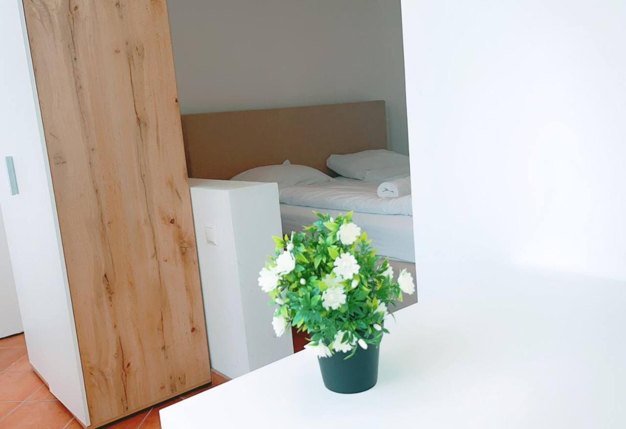 Deluxe In Keplerplatz Homestay Vienna