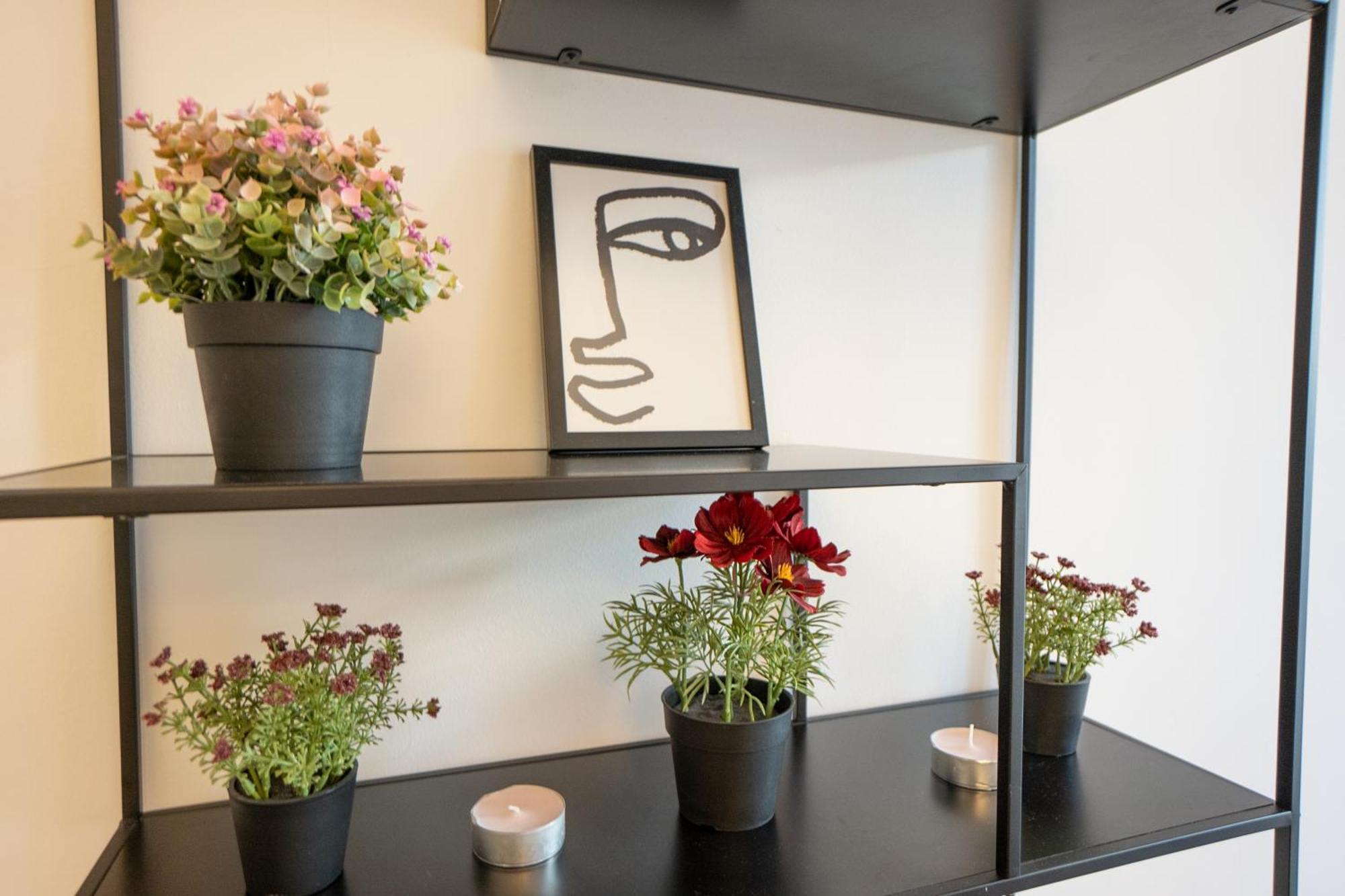 Supreme City Center Apartment *
