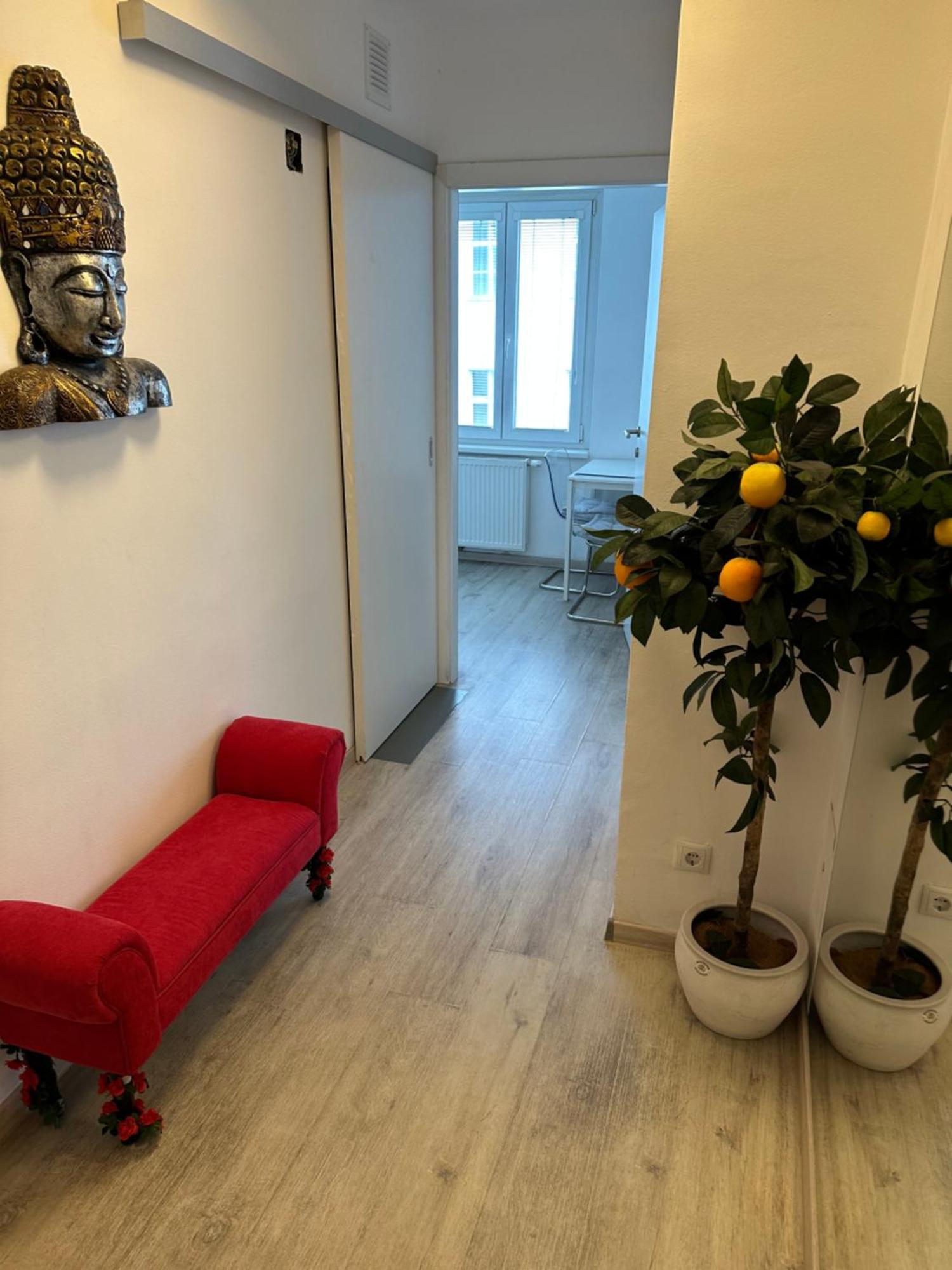 Apartment Opera Vienna