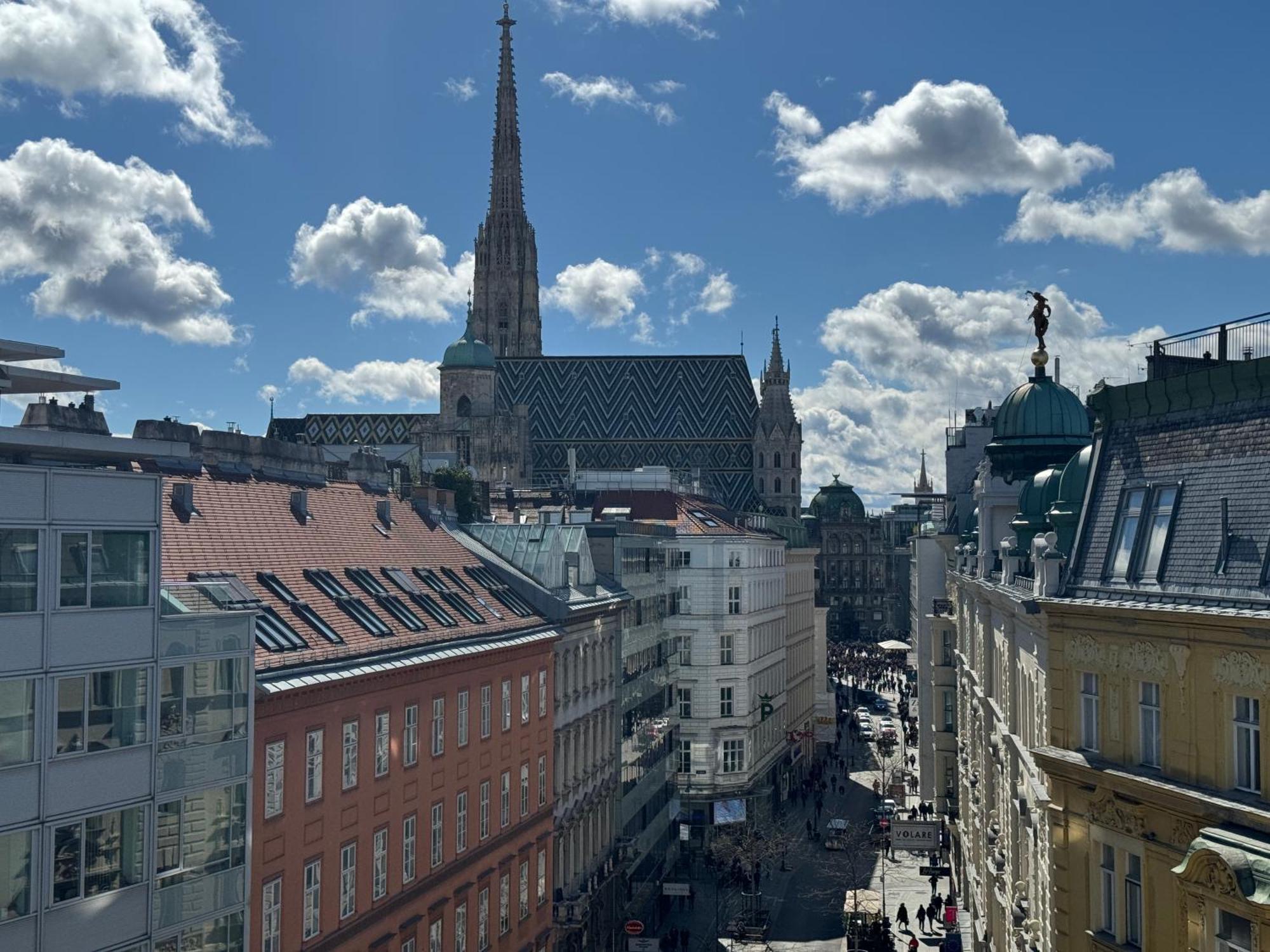 110 M2 Rooftop - St Stephen's Cathedral View