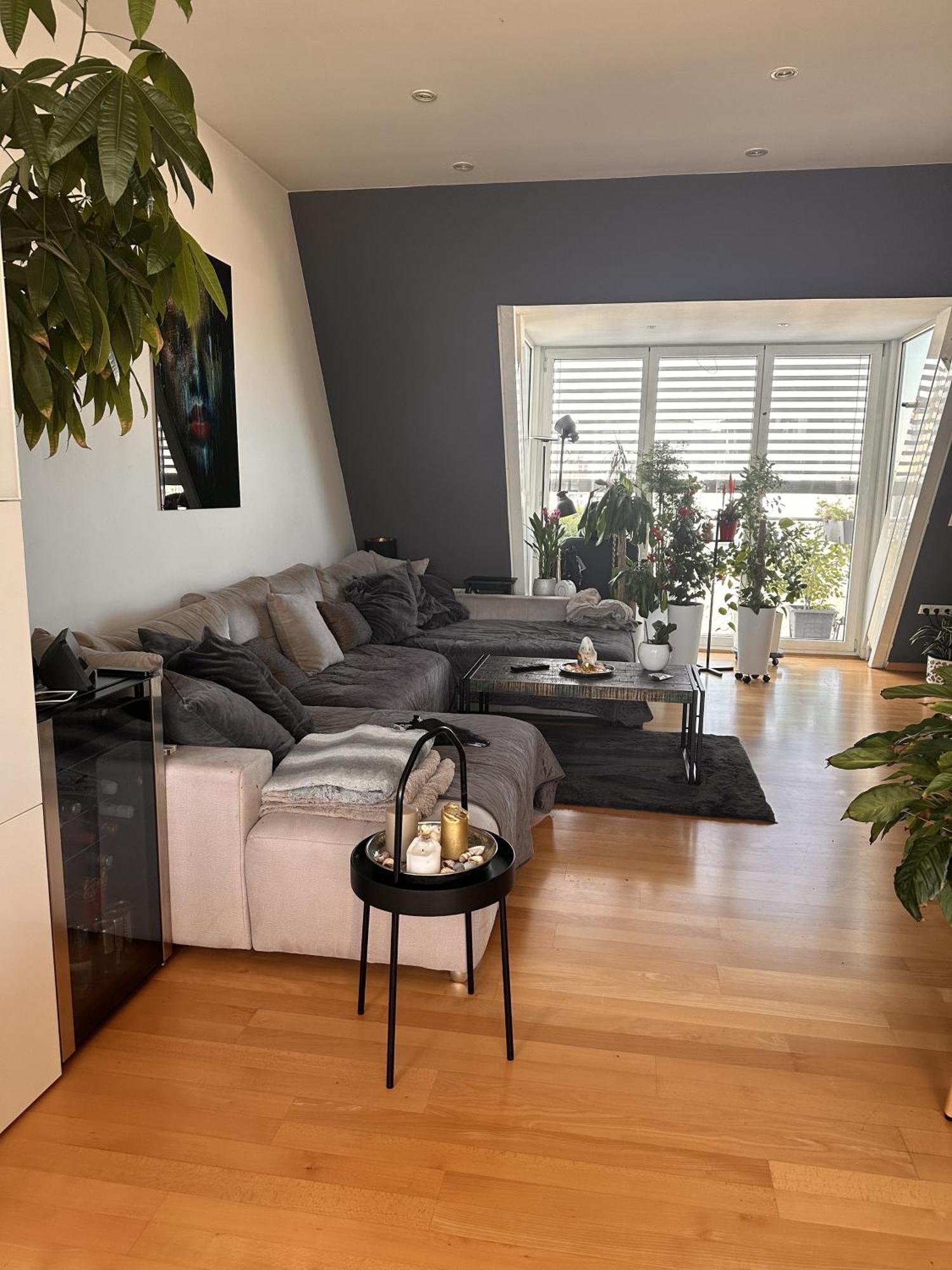 City-penthouse Mit 4 Terassen Und Whirlpool Apartment Vienna