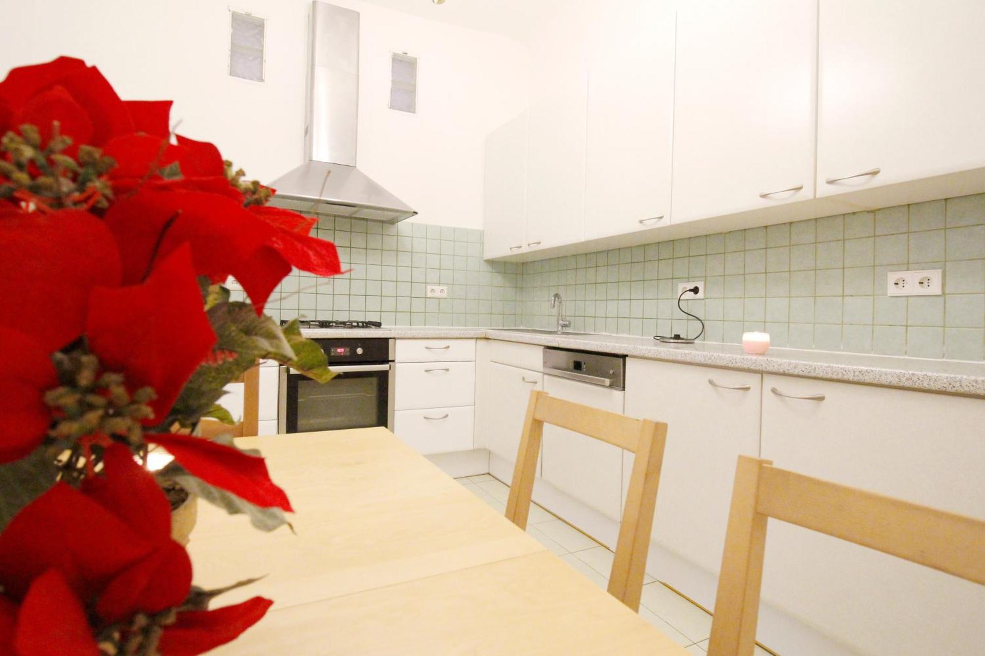 Comfortable Near Schonbrunn Palace *