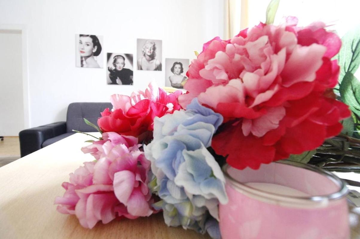 Comfortable Near Schonbrunn Palace Homestay