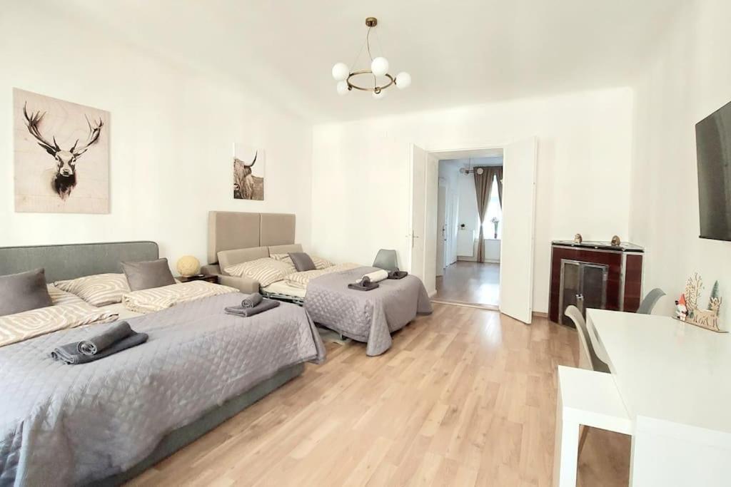 Apartment & Spacious Checkinvienna