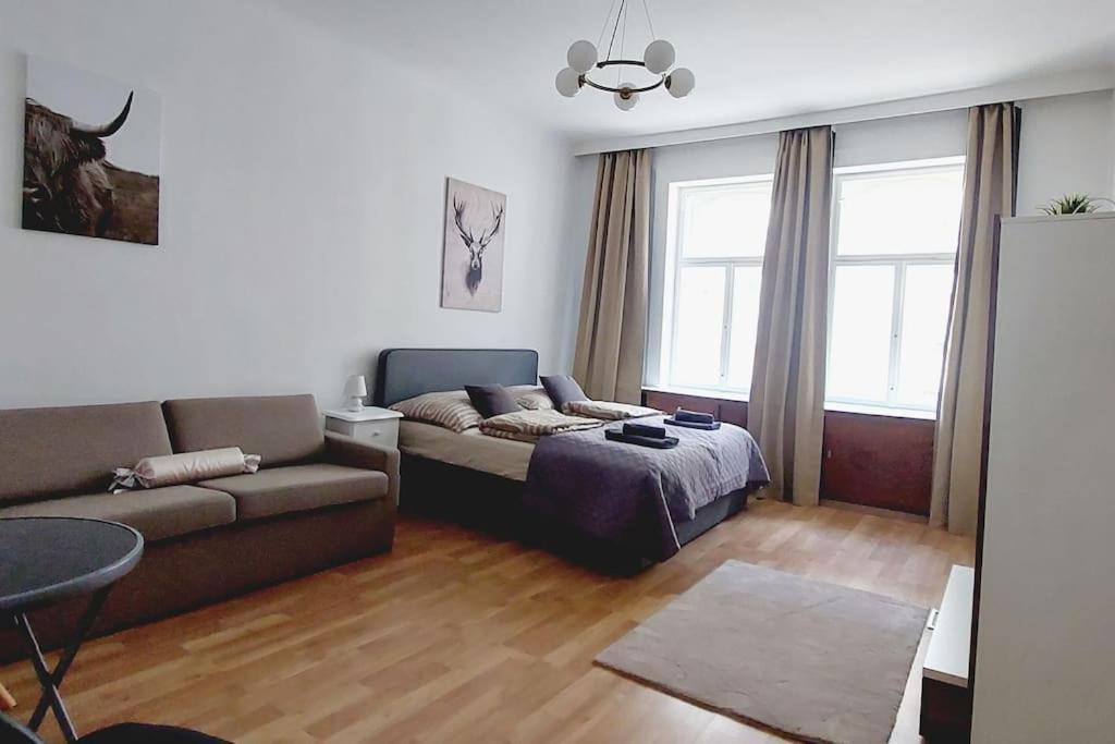 Apartment & Spacious Checkinvienna