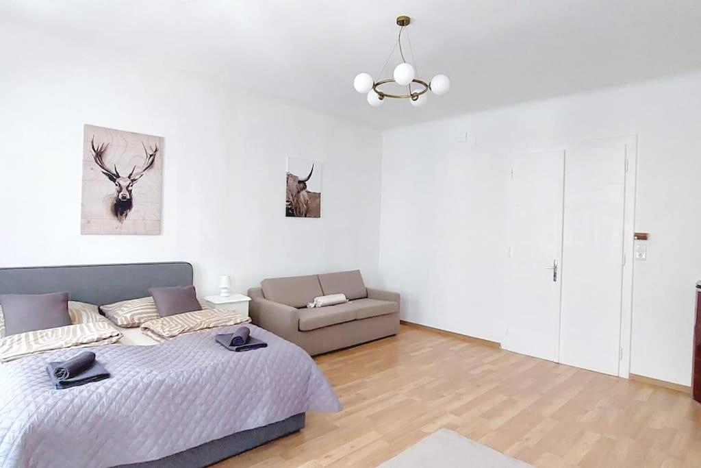 & Spacious Checkinvienna Apartment Vienna