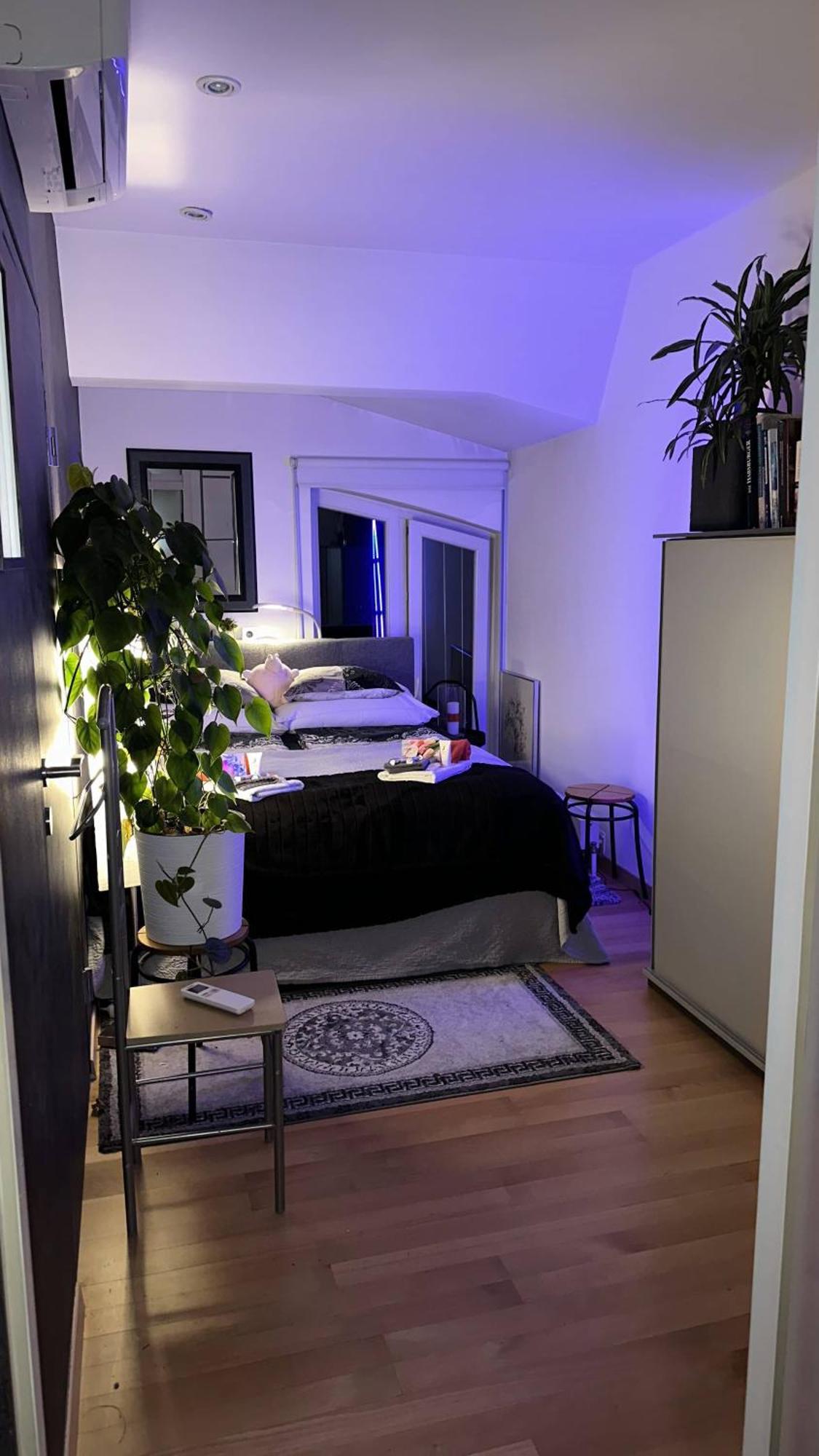 City-penthouse Mit 4 Terassen Und Whirlpool * Viena