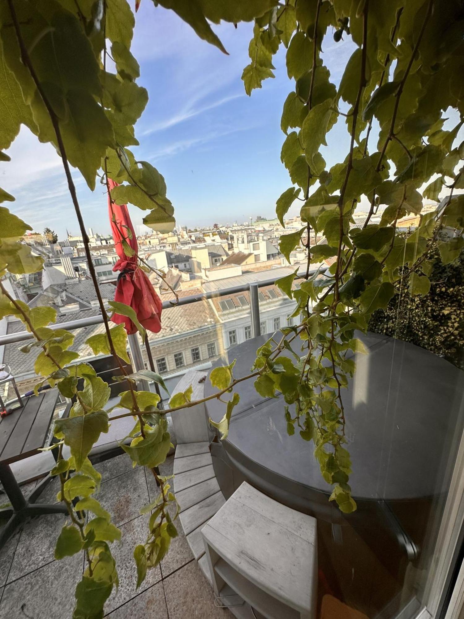 Apartamento City-penthouse Mit 4 Terassen Und Whirlpool *