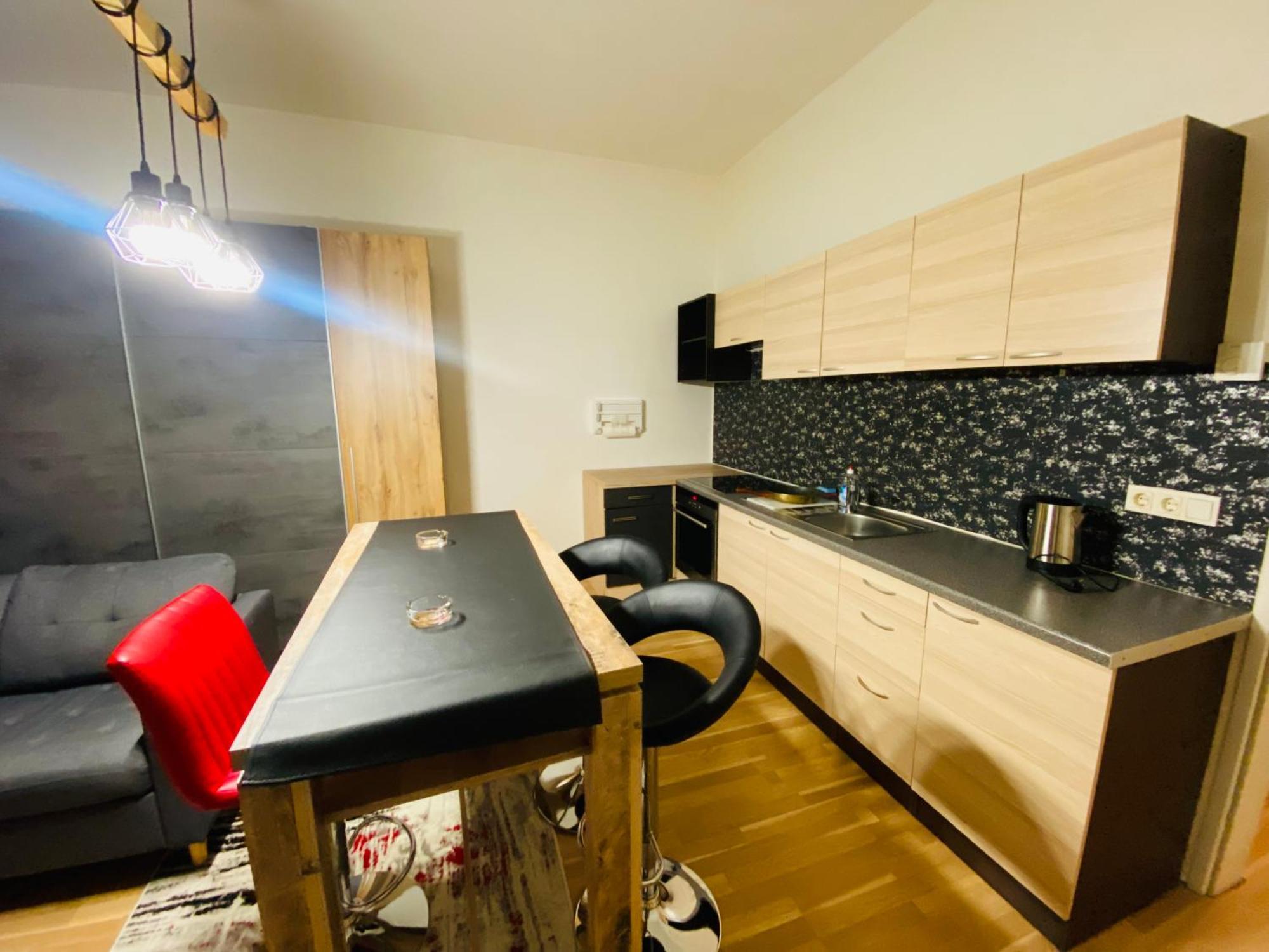 Niceapartmenthollerg.11 Viena