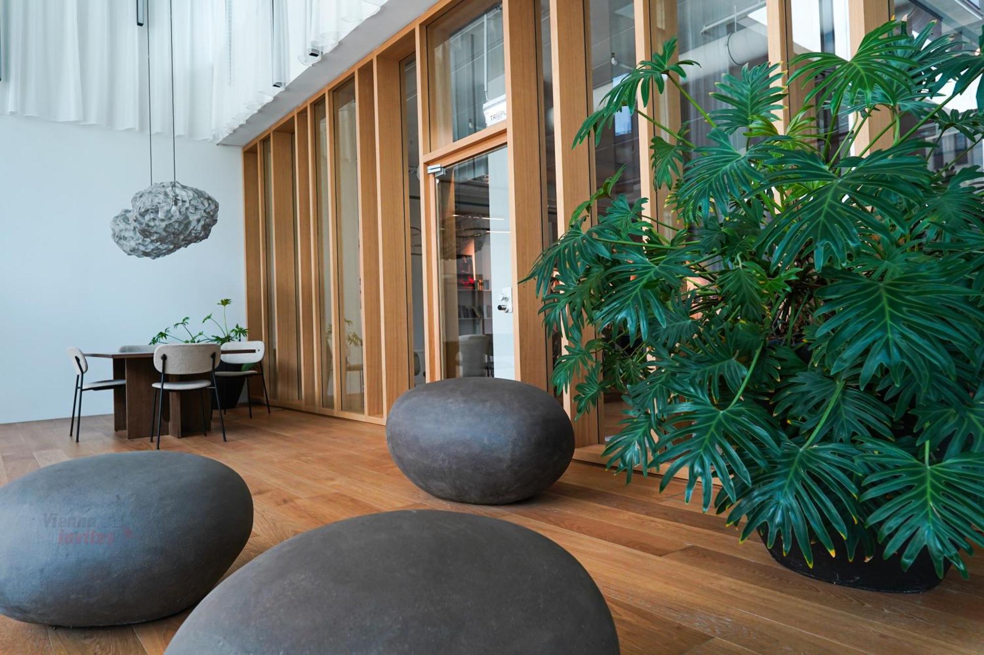 Relaxed Zen-apartment In Area And Amazing View Apartment *