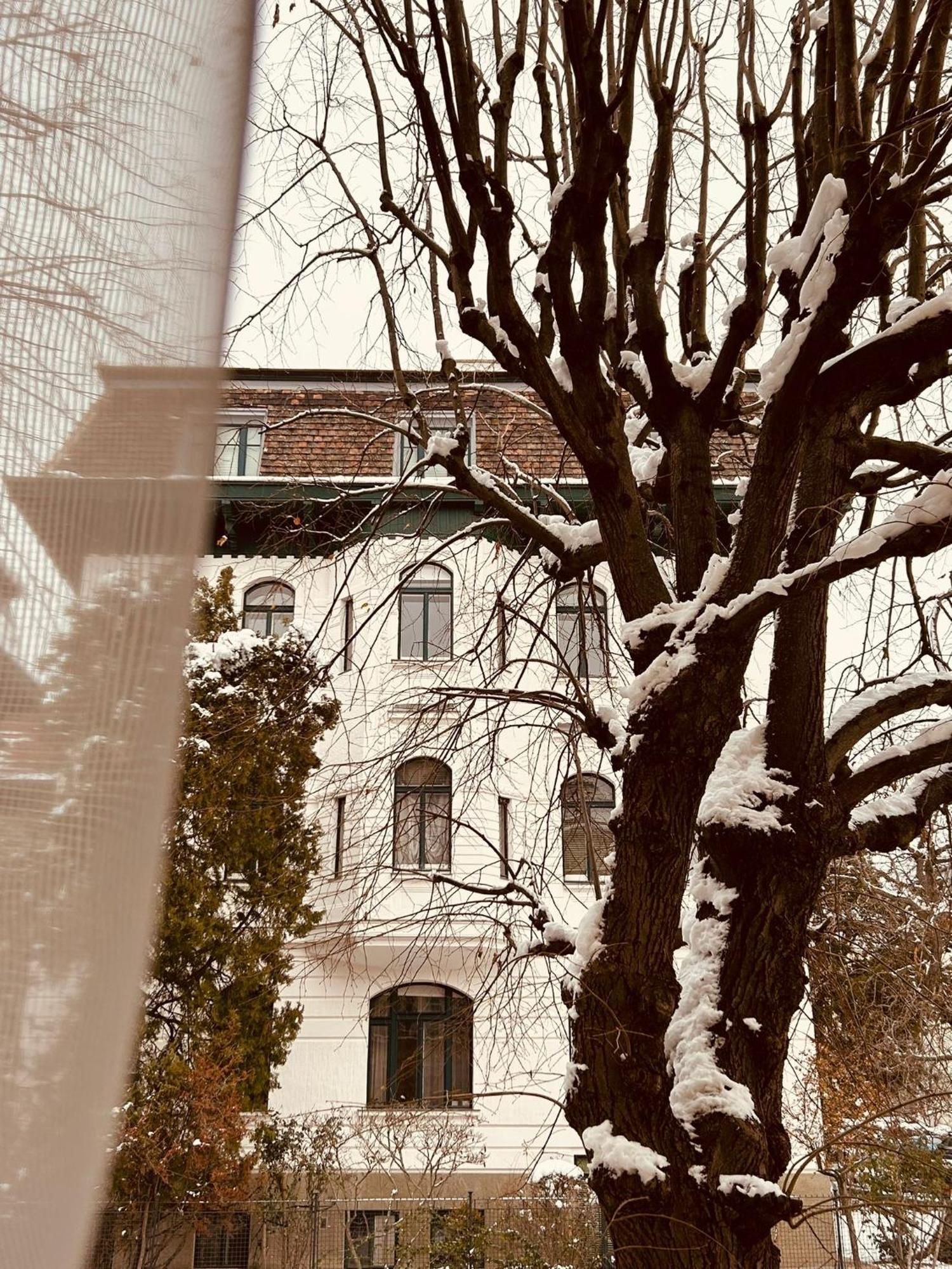 5 Min Schoenbrunn Gloriette, Direct To Center, Free Parking Apartment *