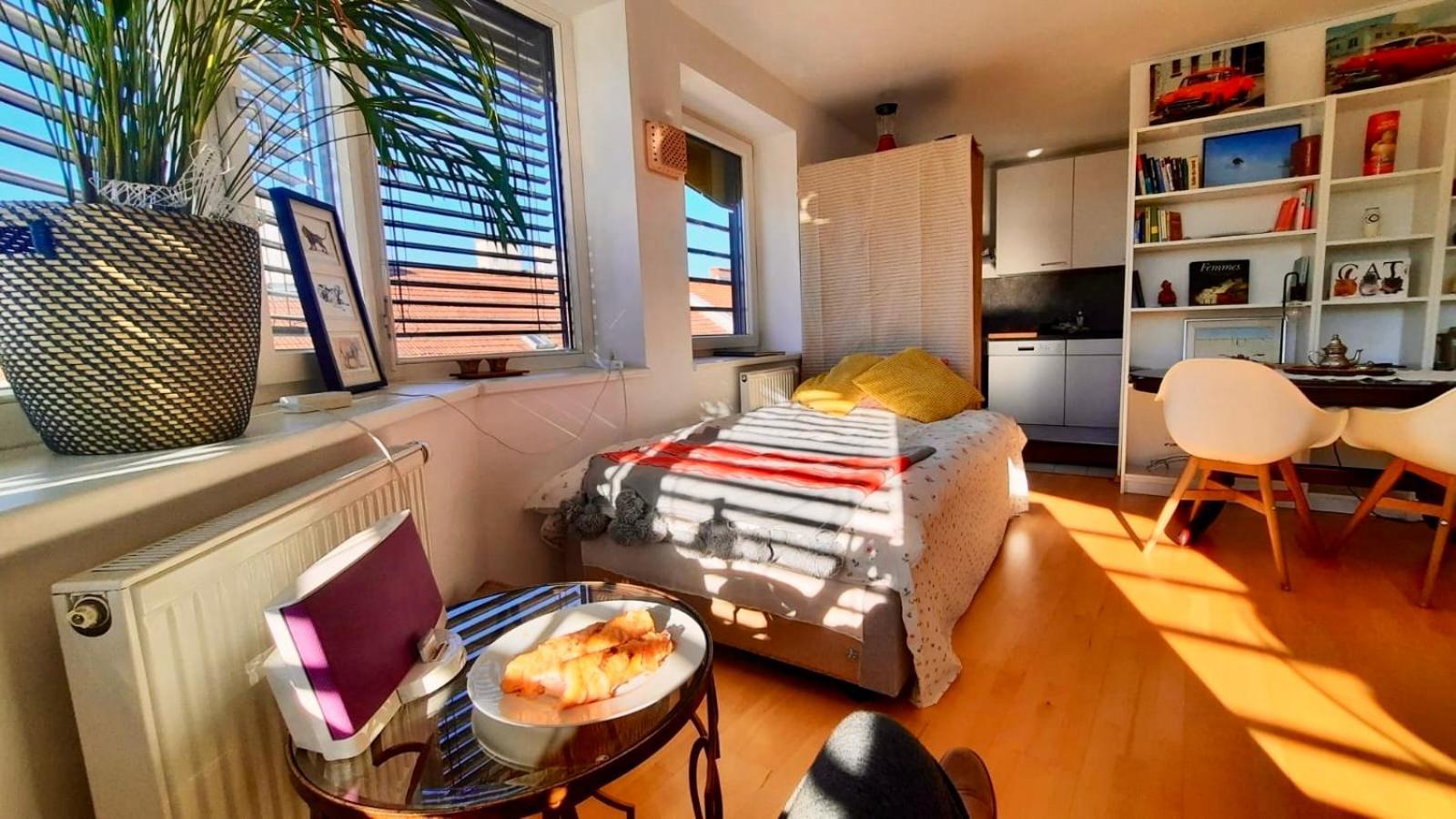 Apartment Charming Flat On Top Floor With Great View Vienna