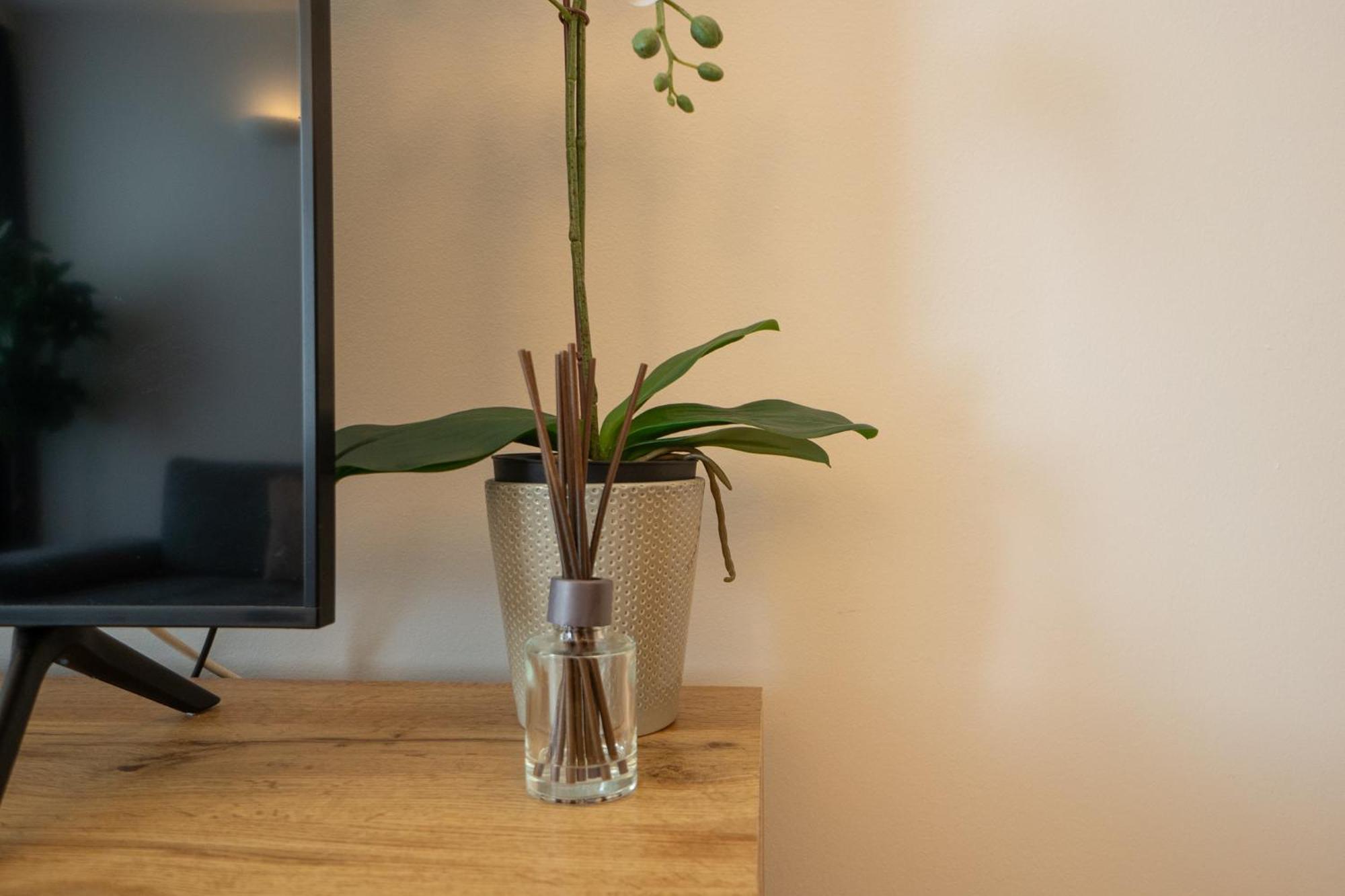 Charming With Balcony, Close To Stephansdom Cathedral Apartment Vienna