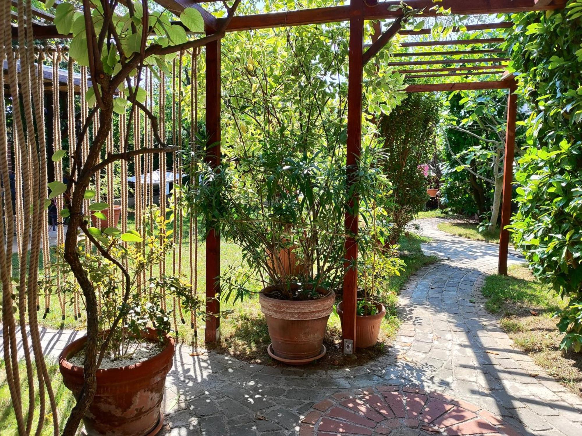 Michael's Nest