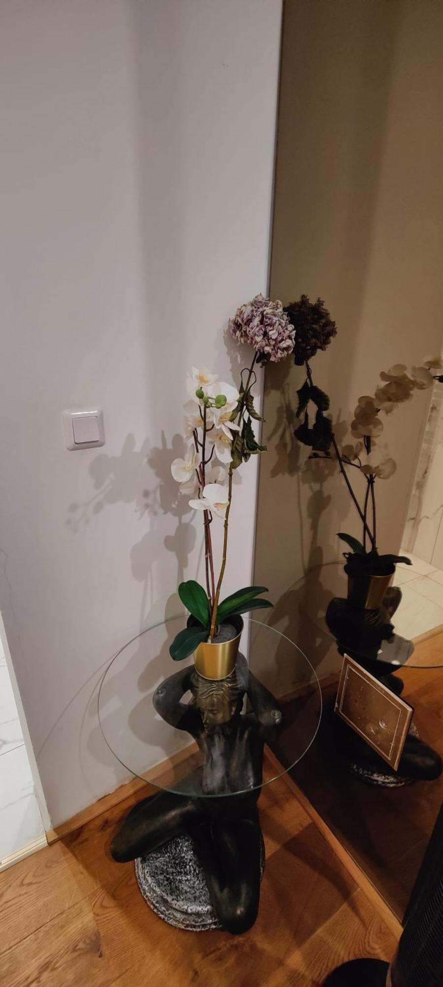 Xuba Apartmentrooms Messe Prater Hotel *