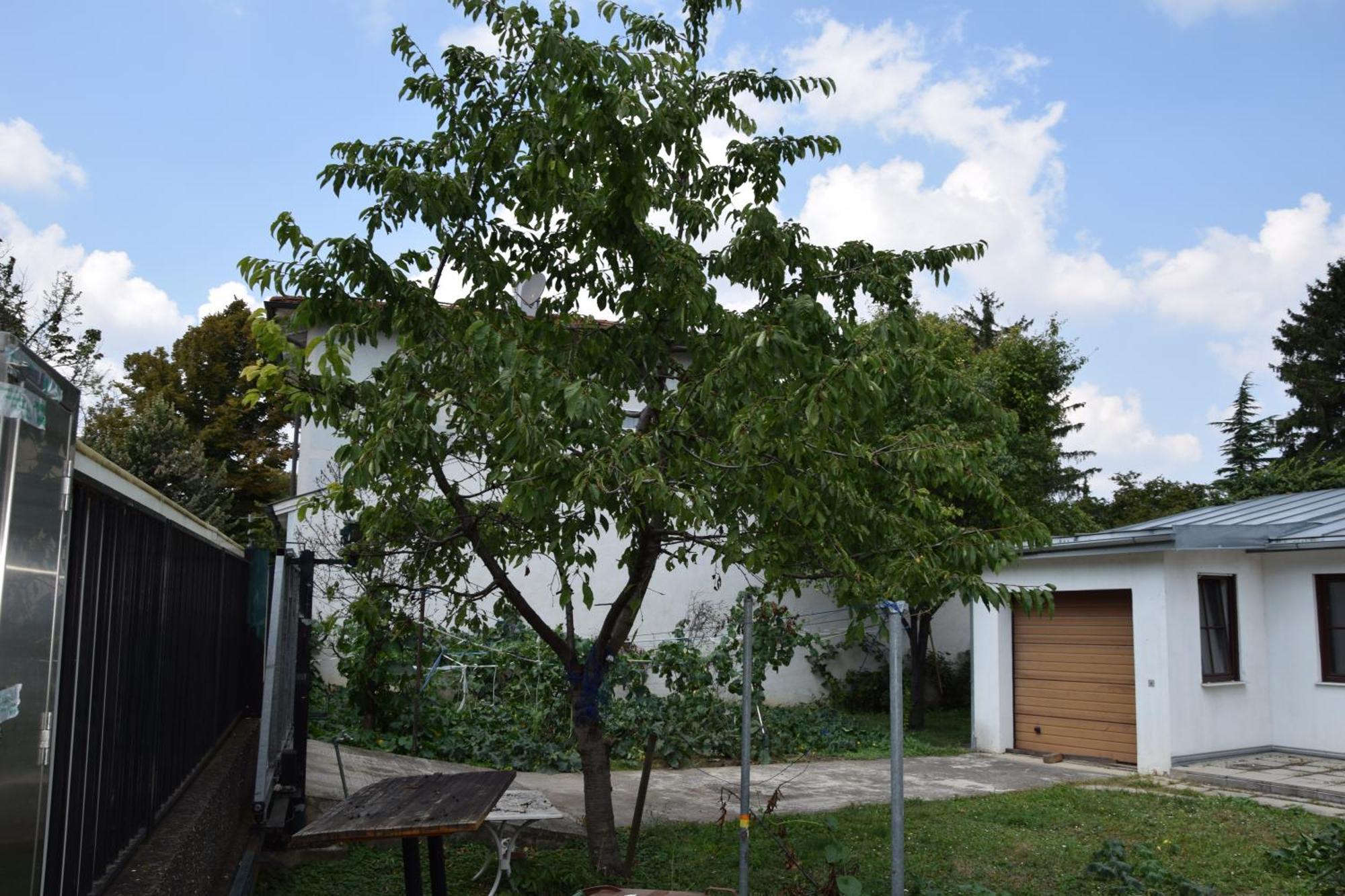 Central-vintage With Free Parking And 5min Walk To Metro *