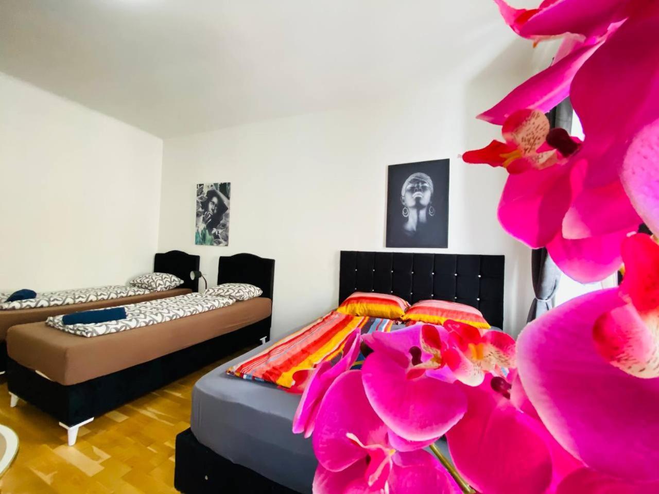Deluxe Studio In Josefstaedter Strasse Area Vienna