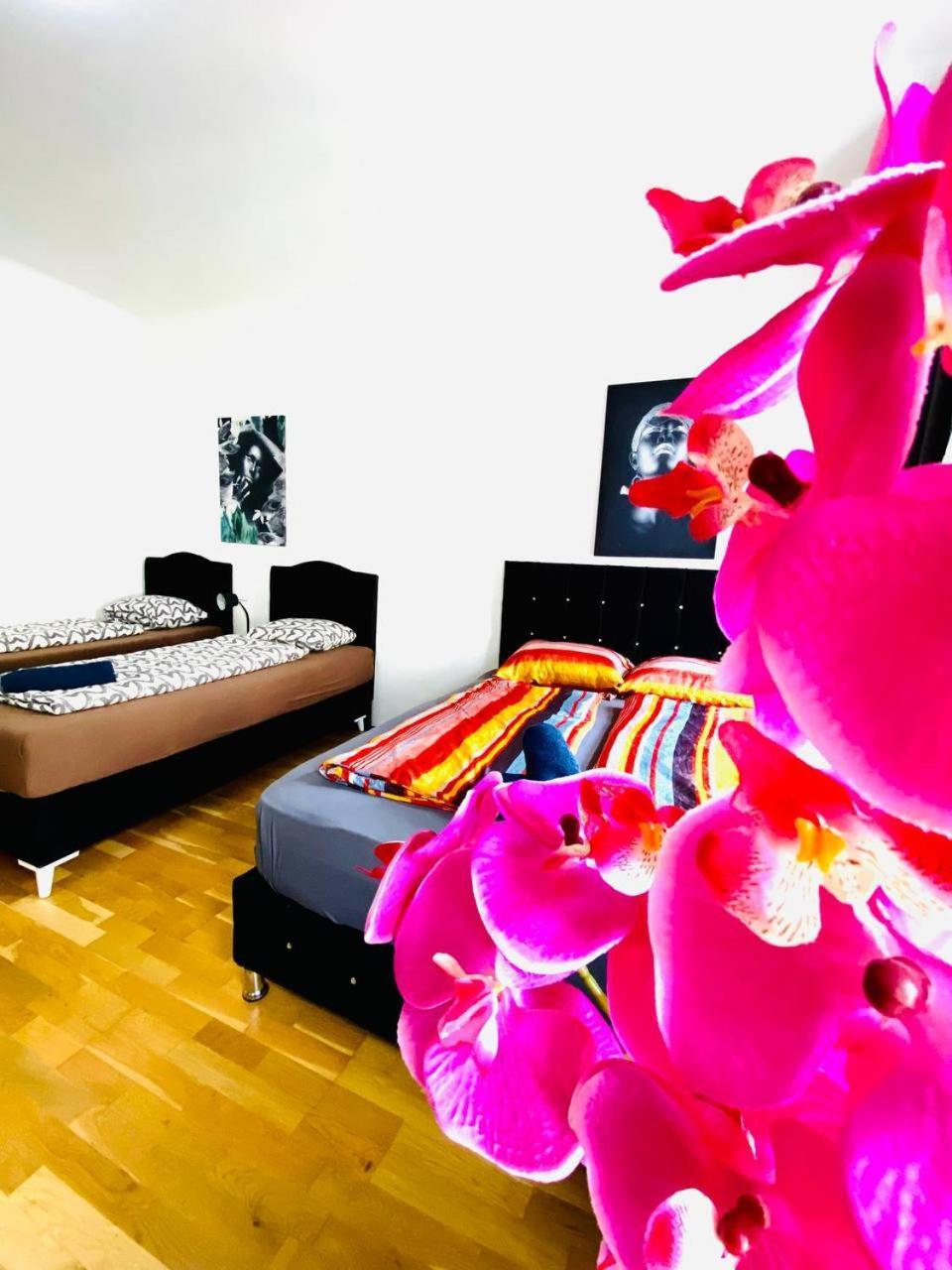 Deluxe Studio In Josefstaedter Strasse Area *