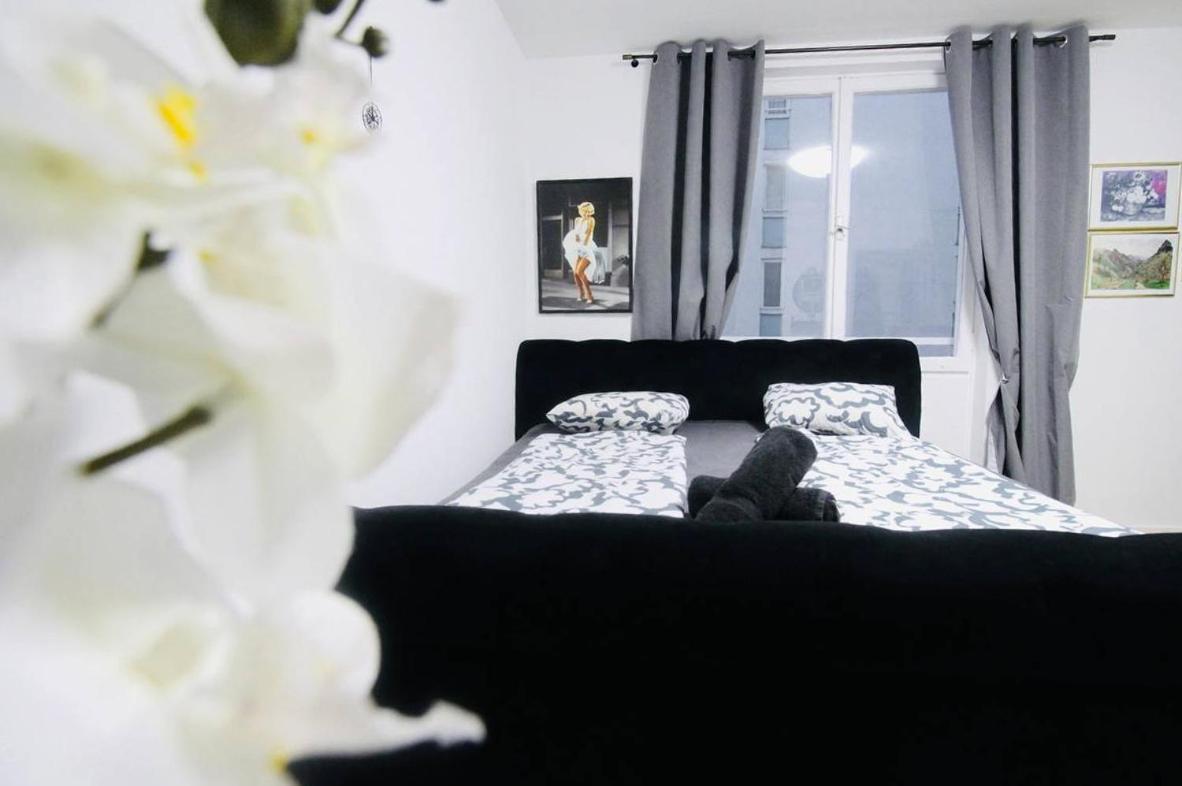 Modern In Millennium Area *