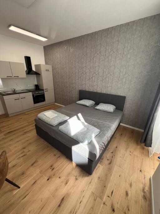 Apartment Big