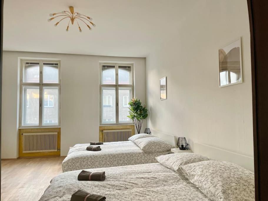Apartment Sunny With Free Parking - 15 Min To Center *