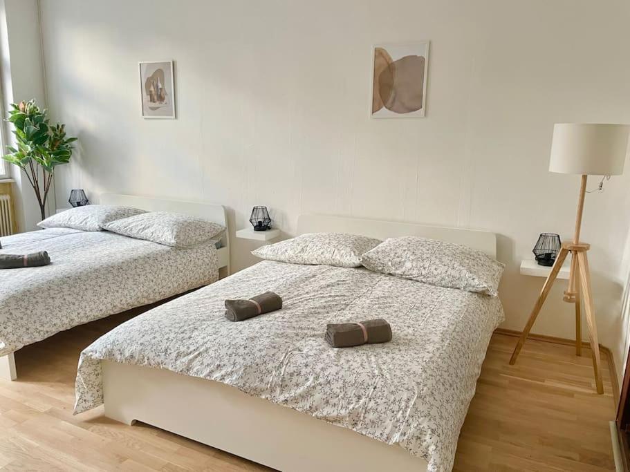 Apartment Sunny With Free Parking - 15 Min To Center *