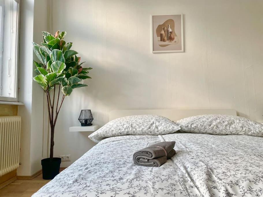 Sunny With Free Parking - 15 Min To Center Apartment Vienna