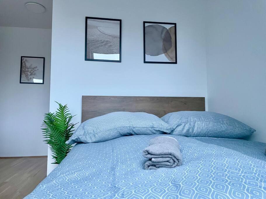 Modern Rooftop With Free Parking Viena