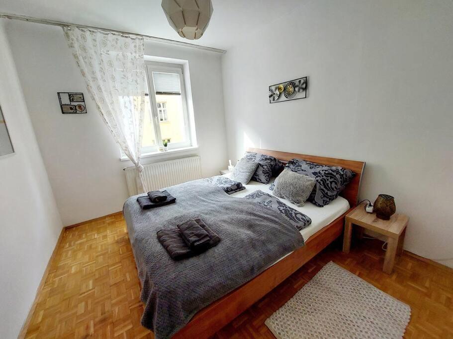 Modern 3 Bedroom