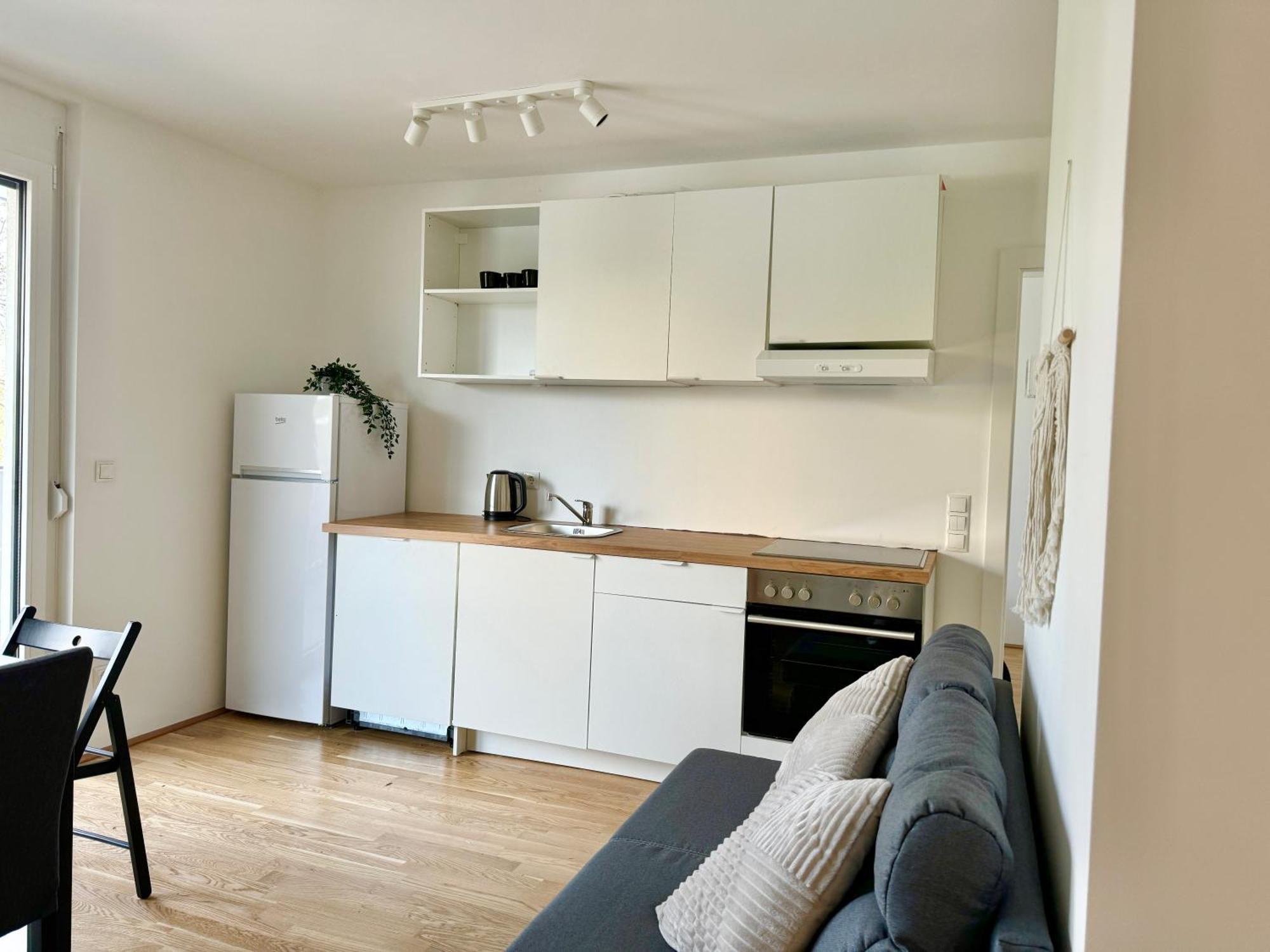 Modern Premium With Balcony Apartment