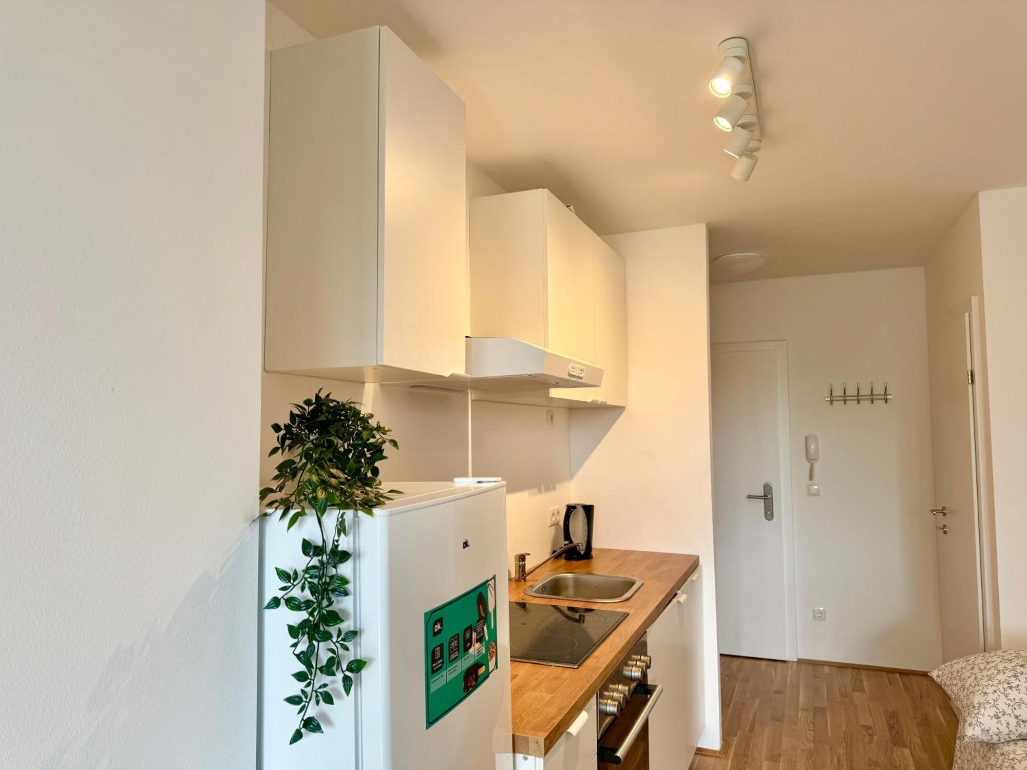 Modern Premium With Balcony Apartment *