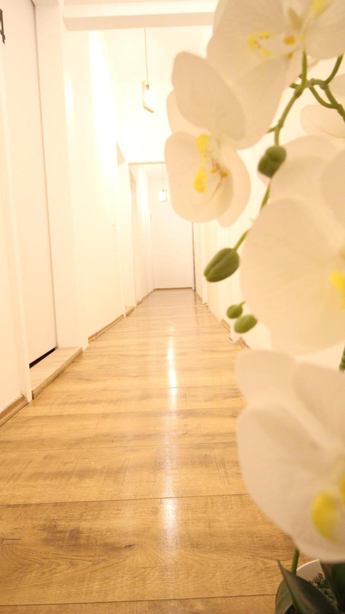 Spacious In Liesing Area Lv6 Vienna