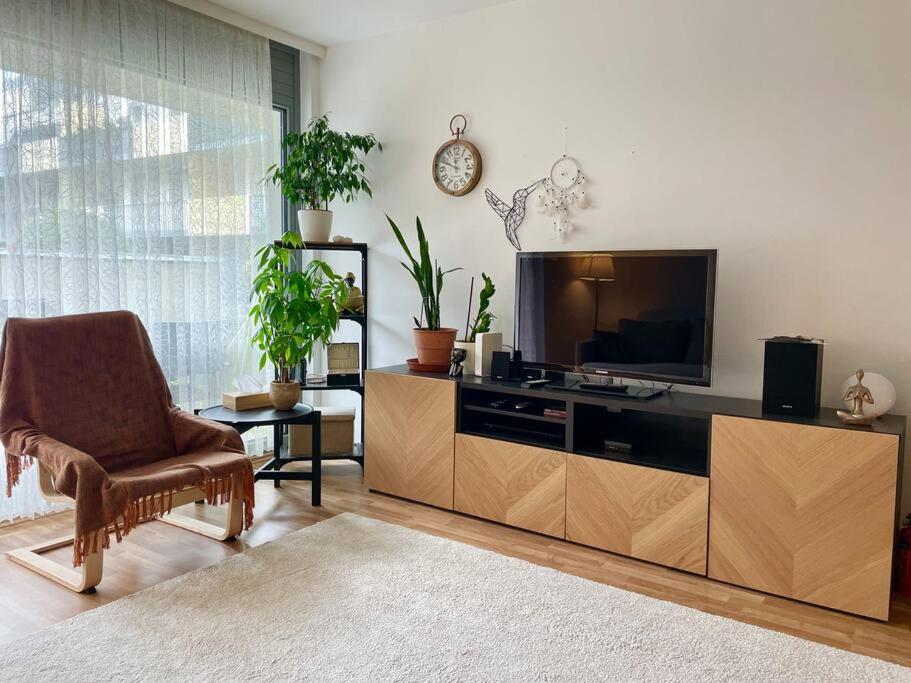 With Garden Near Schoenbrunn - 10 Min To Center Apartment *
