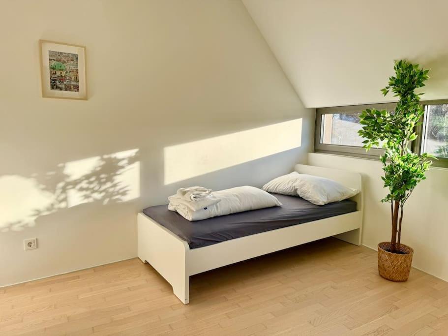 Apartment 140 M2 Modern Maisonette With Garden & Free Parking