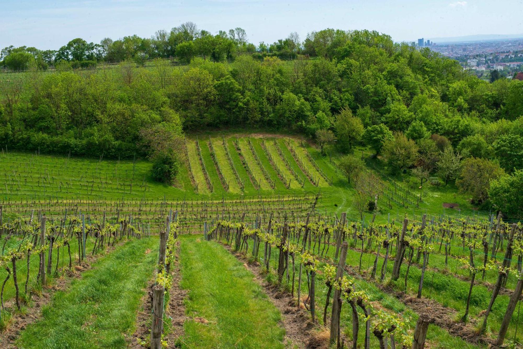 Herrlicher Ausblick Ueber