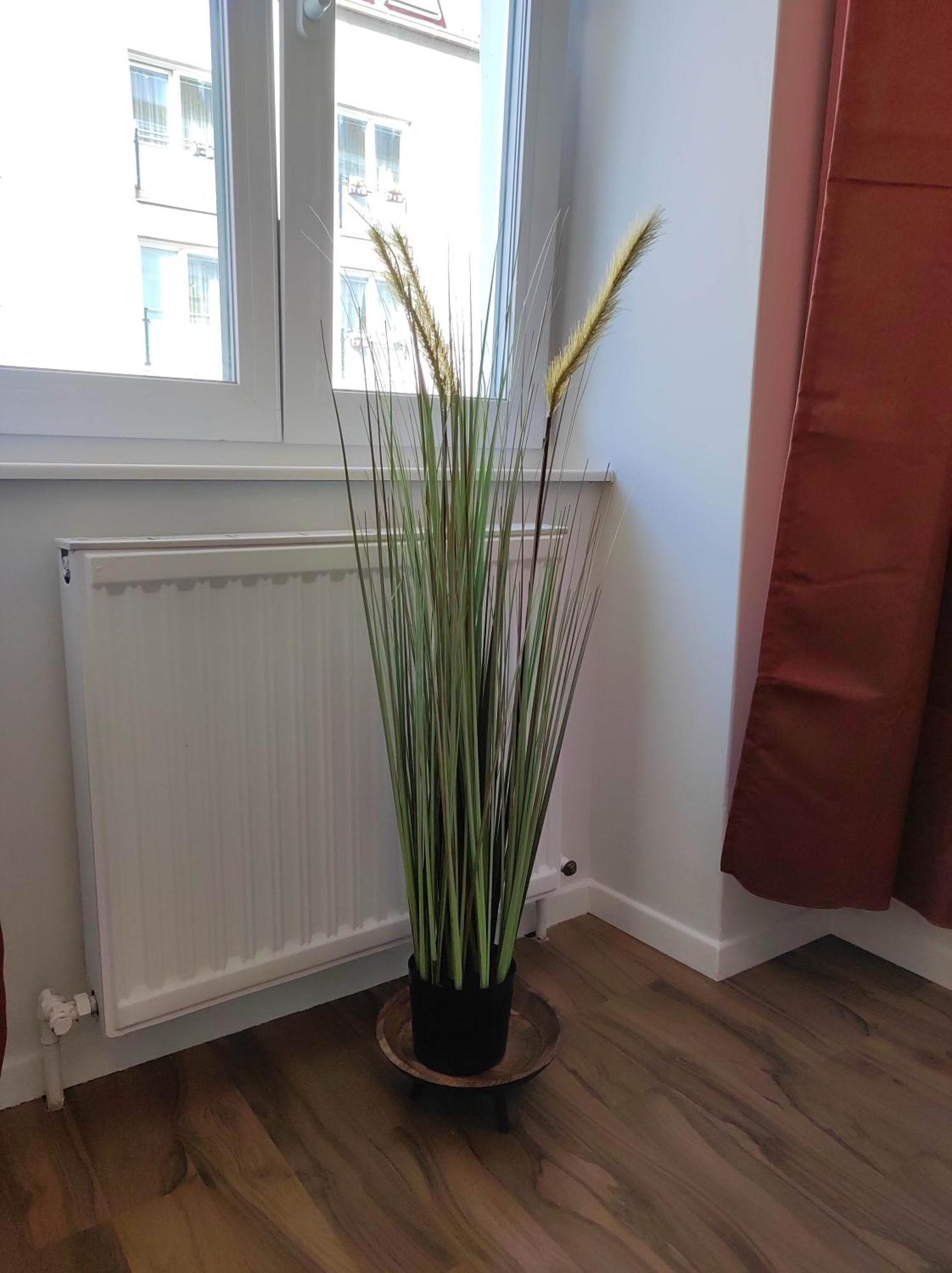 Apartment Roksox-home Meidling Schloss Schoenbrunn Wien