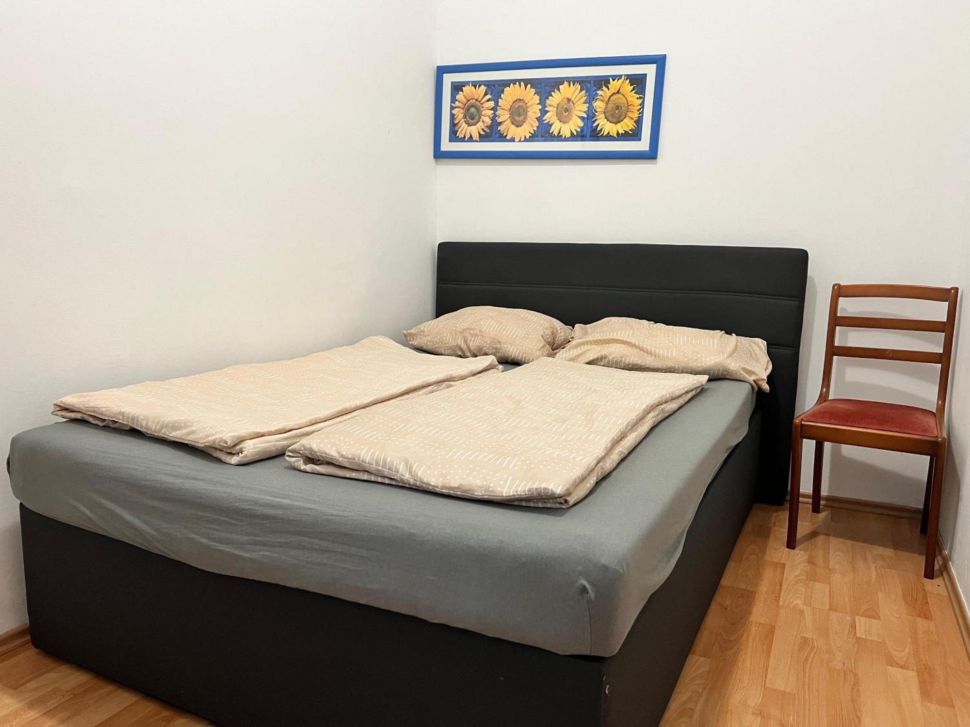 Cozy 2br Apt- Near Danube River Vienna