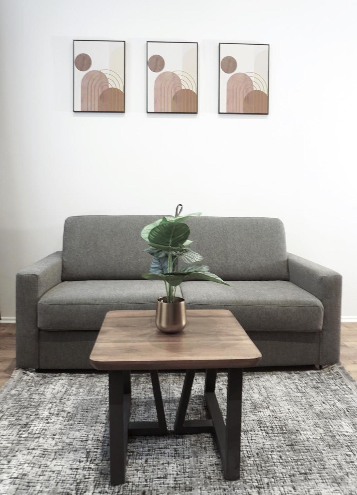 Viva La Apartment