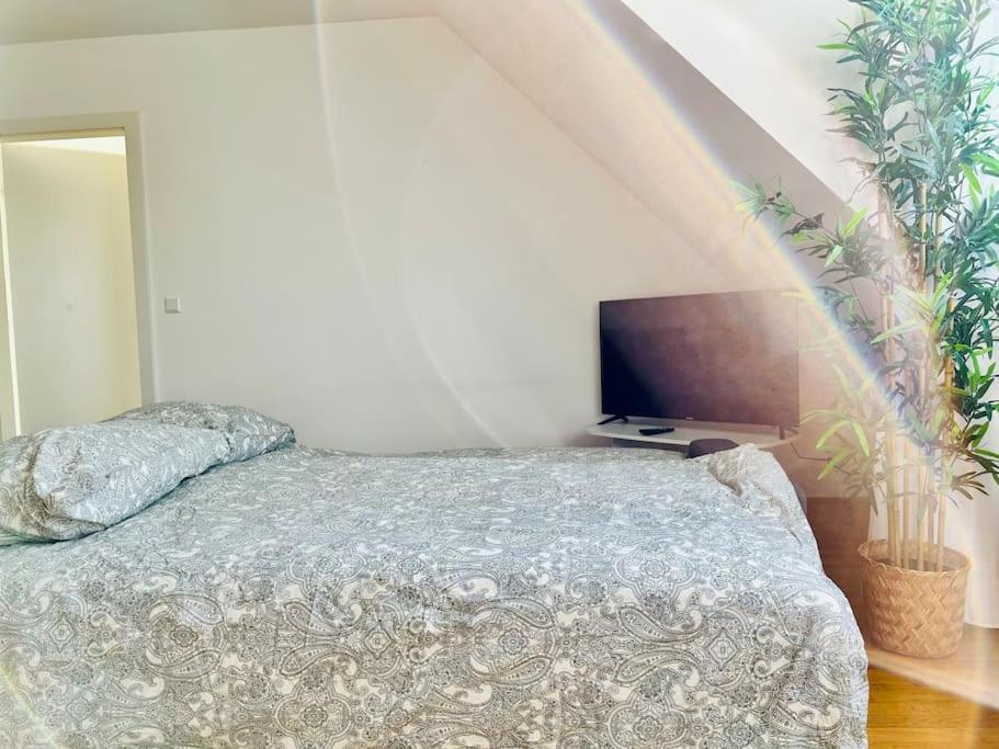 Premium 90 M2 Rooftop - Free Parking Vienna