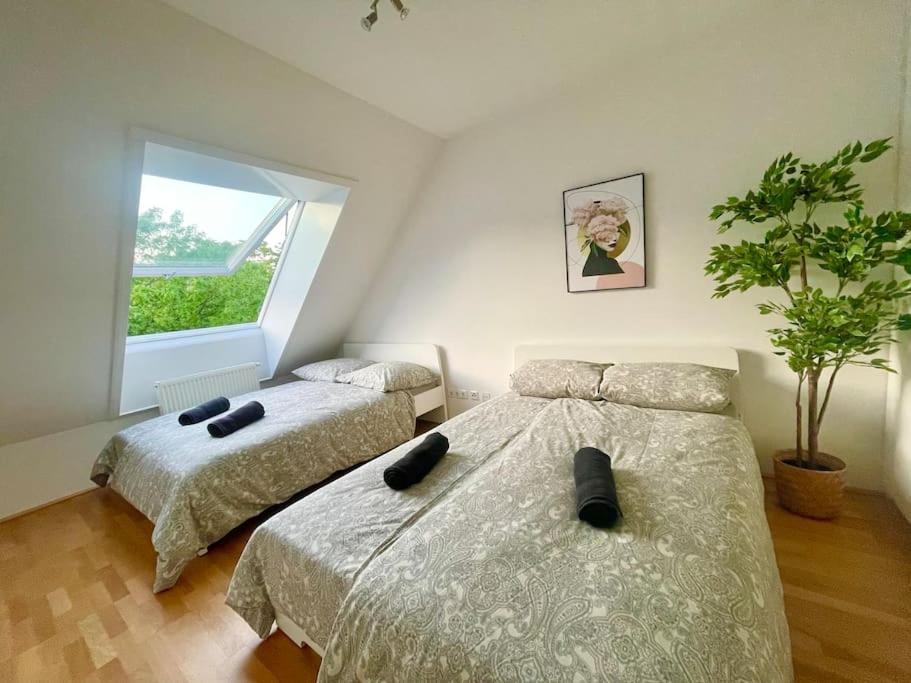 Apartment Premium 90 M2 Rooftop - Free Parking Vienna