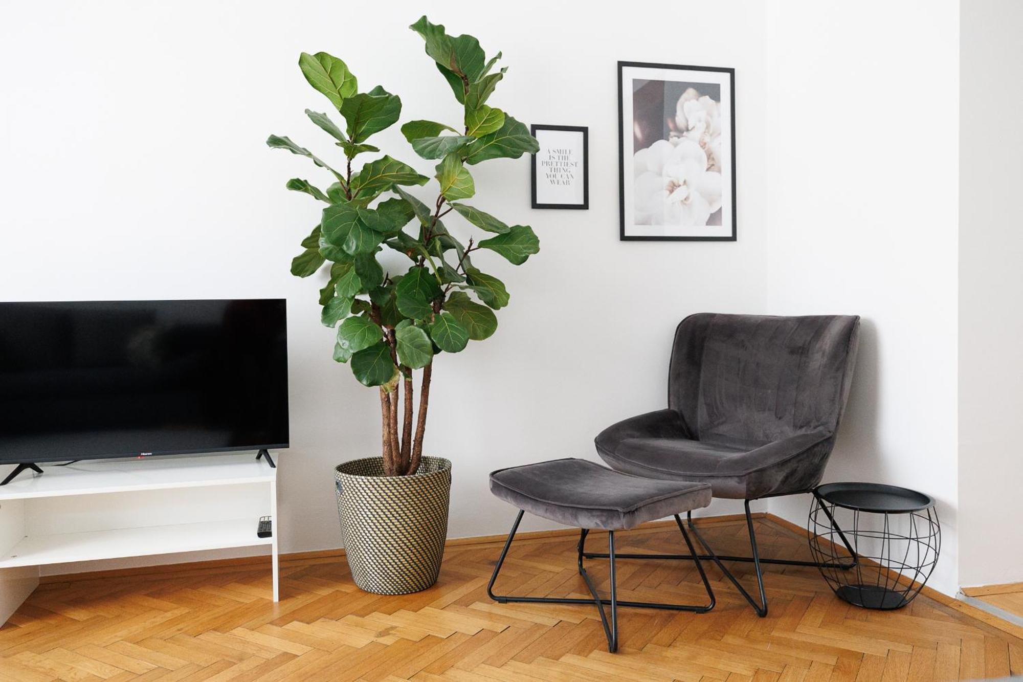 #29 Heaven Messe/prater Apartment