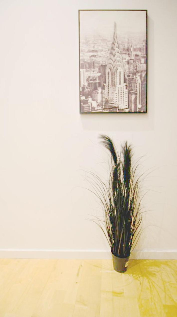 Homestay Cozy In Center Dw19 Vienna