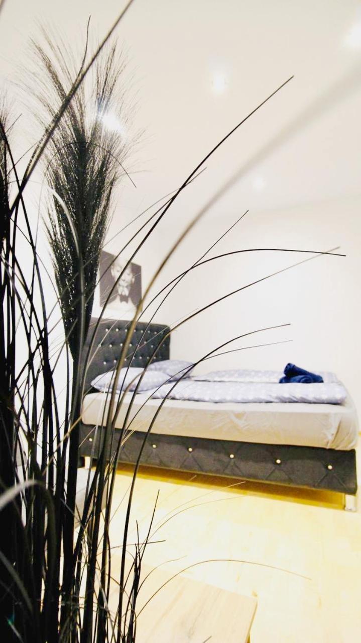 Cozy In Center Dw19 Homestay