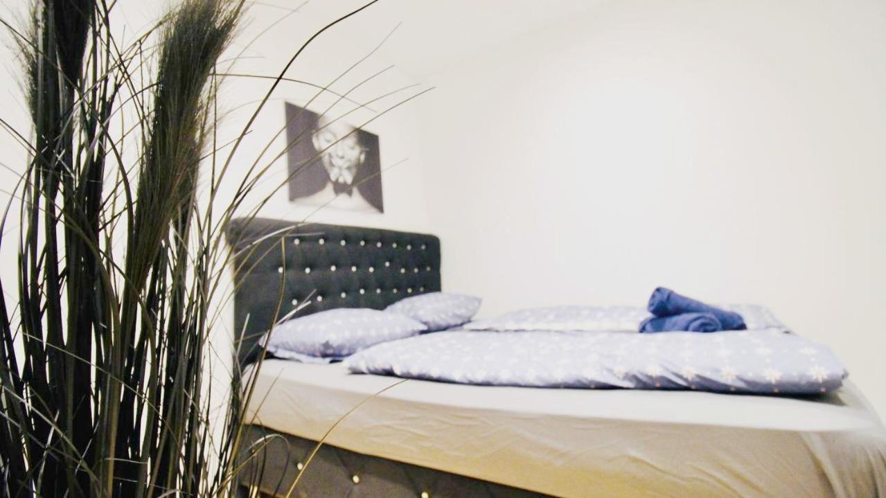 Cozy In Center Dw19 Homestay