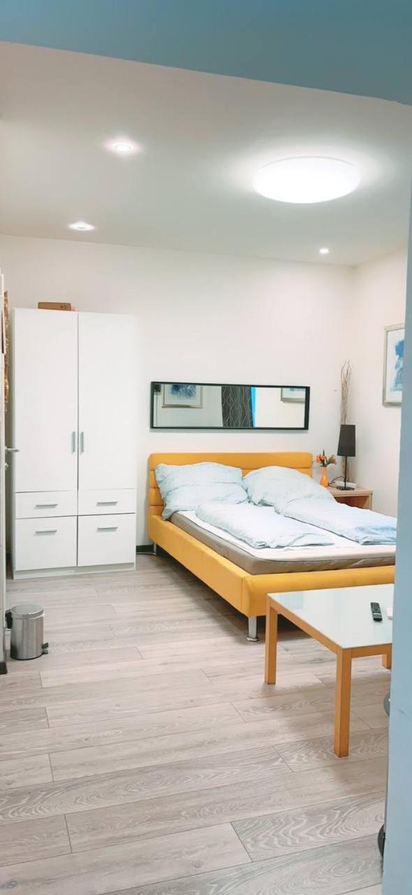 Studio In Center Km3a Viena
