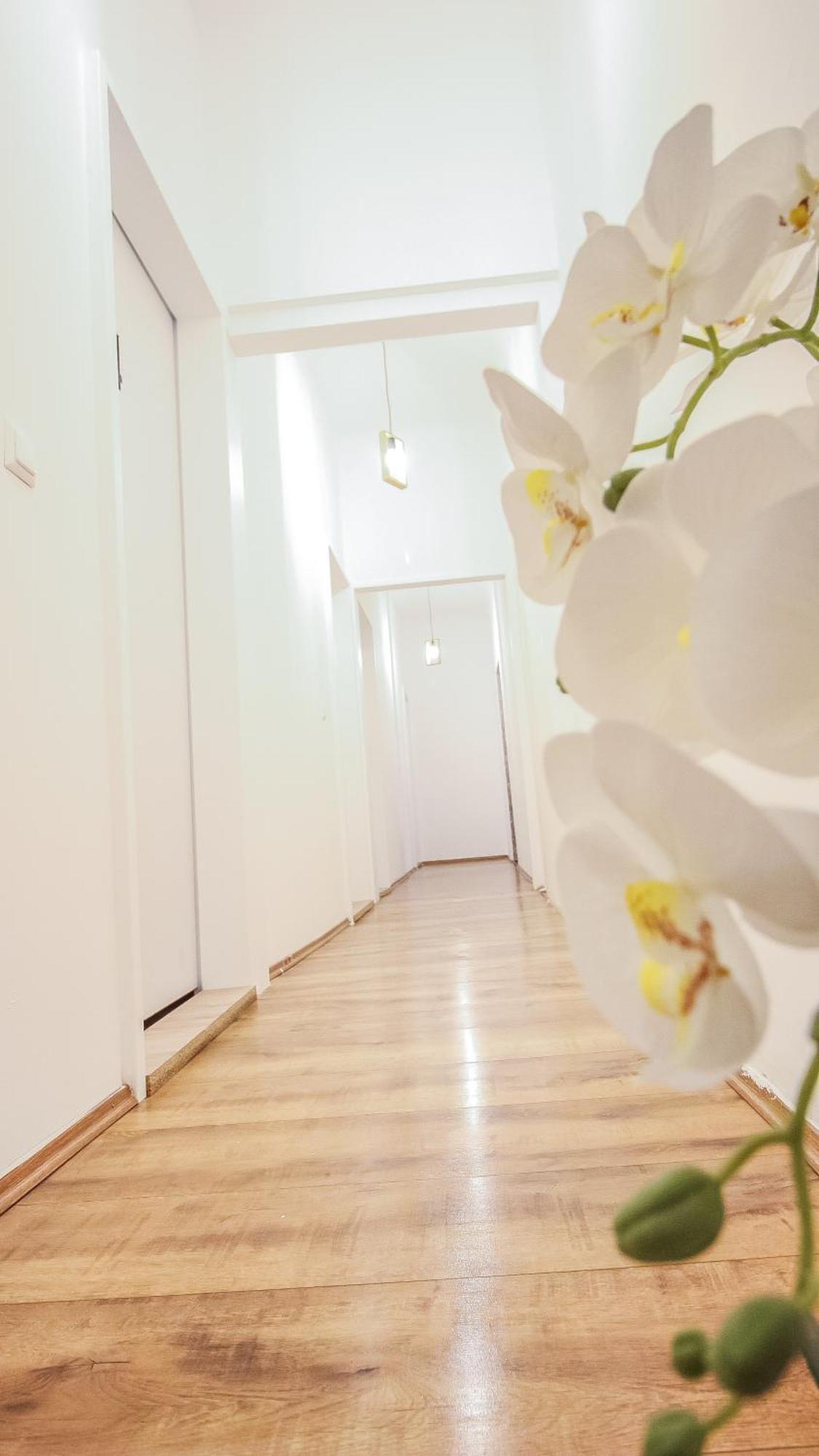 Comfortable In The Alterlaa Area Lv6 Hospedagem domiciliar