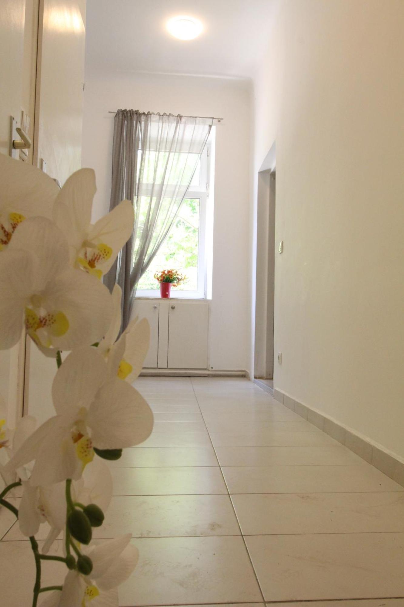 Hospedagem domiciliar Cozy In Floridsdorf Area Pr4 *
