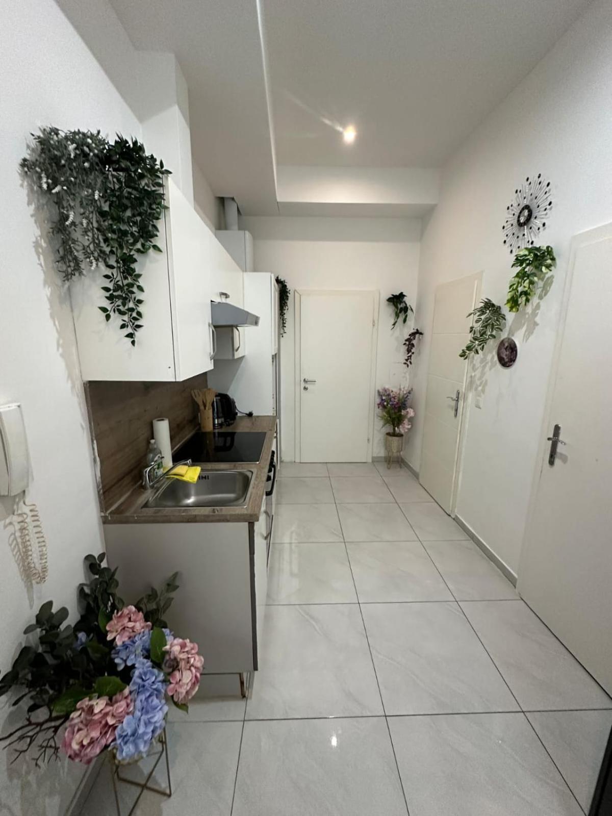 2 Zimmer Nahe Prater Apartment